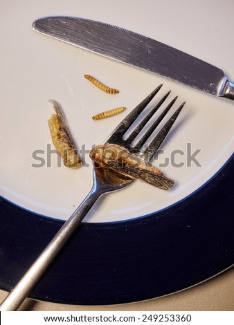 A plate, fork and knife with edible insects