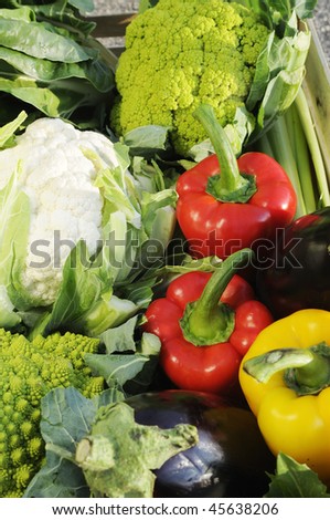 container of vegetables in industry of packaging
