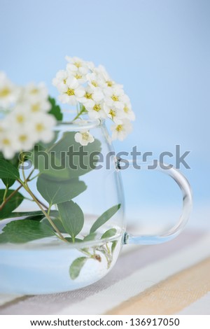 Small bunch of white flowers and Sky Blue Background