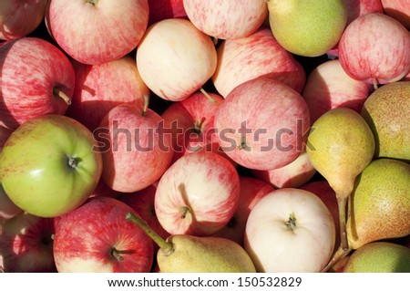Harvest of apples and pears as background