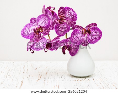 purple orchid flowers in vase on a wooden table
