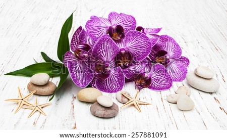 Orchids and massage stone on a old wooden background