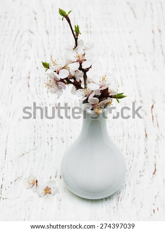 vase with spring apricot blossom on a old wood background
