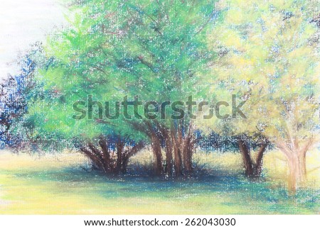 image of colorful tree in the forest  by  pastel color original painting on paper  for decoration or background