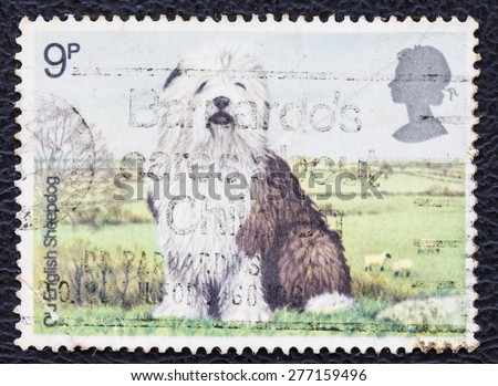 GREAT BRITAIN - CIRCA 1978: A stamp printed in the Great Britain shows Old English Sheepdog, circa 1978