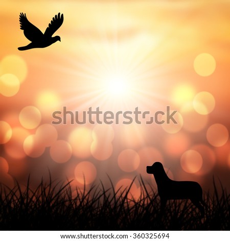 Silhouette differences of emotion and feelings . Of life Different life,\
Dog and bird bokeh sun background