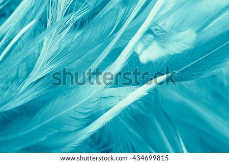 green turquoise vintage color trends chicken feather texture background,Interior soft luxury gray heaven angels,Modern image used for design living room,office and others