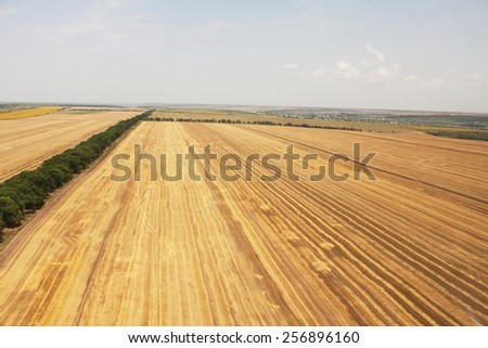 Field with a bird\'s-eye view