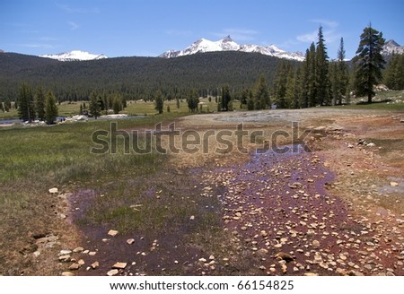 Soda Springs, where carbonated, cold water is bubbling out of the ground, Yosemite National Park, CA