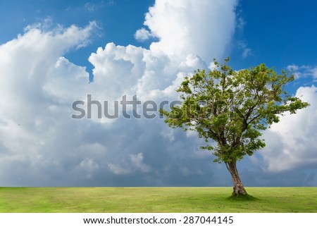 lonely tree on ground in cloudy sky, concept one tree provide oxygen to the world