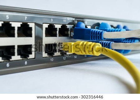 Network cable connect to switching hub in close up