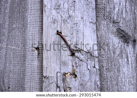 Old rusty nail in a wood fence