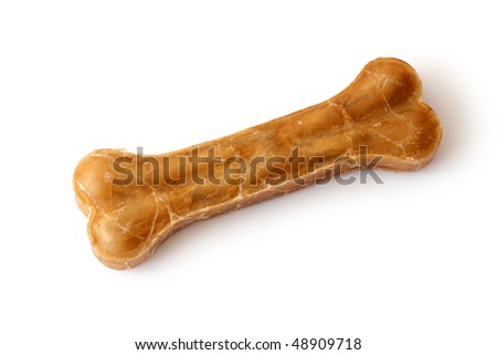 dog bone clipart. stock photo : Dog bone