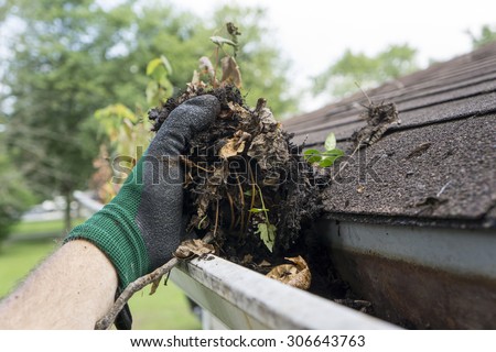 Cleaning gutters during the summer time.