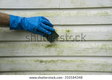 Scrubbing algae and mold off a house with vinyl siding.