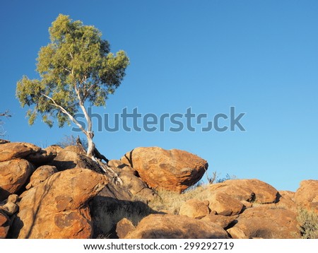 Gum Tree and outback rock formation near the old Telegraph Station, Alice Springs, Australia, June 2015