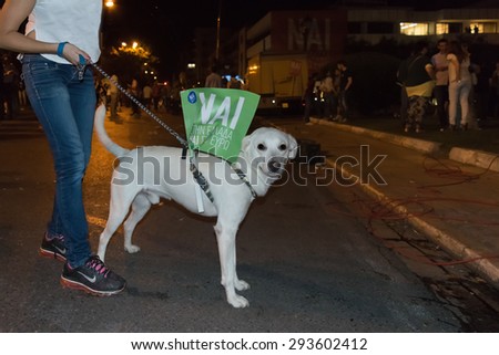 Athens, Greece, 3 July 2015. Funny dog with a flag in his back about the upcoming referendum in Greece.