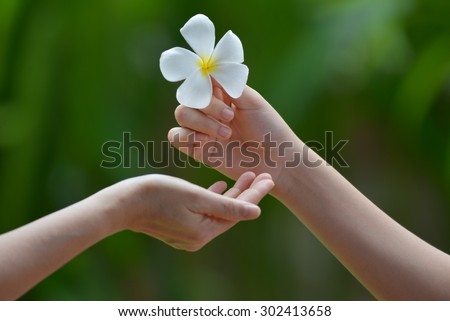 Young woman giving a plumeria flower  to your mother