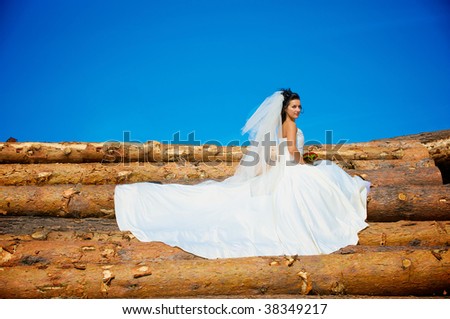 Young bride in the summer day on the log