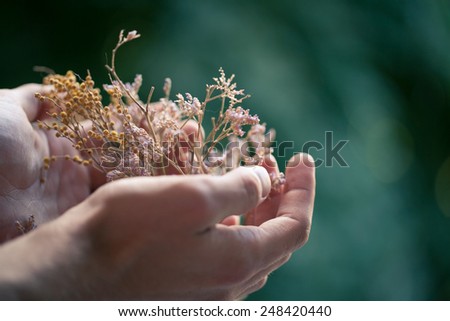 flowers male hand offer giving celebrating bouquet