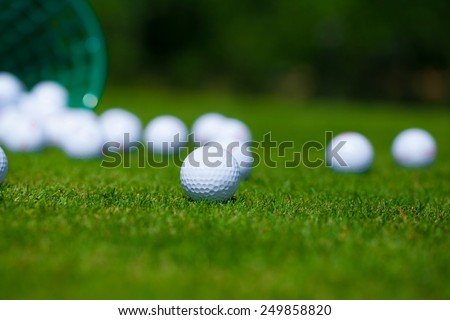 Golf ball 	 basket grass equipment leisure activity