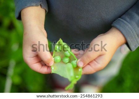 pea child hand kid green organic five pieces