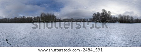 Icy Field