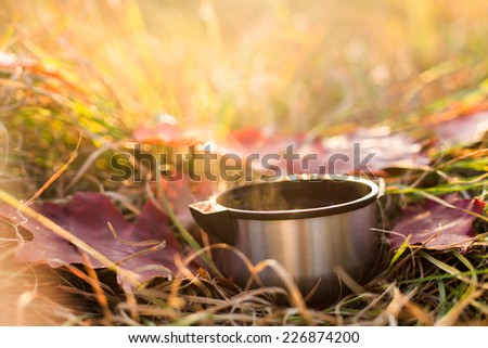 Vacuum flask on autumn background