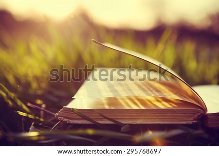 Summer background with open book and bokeh