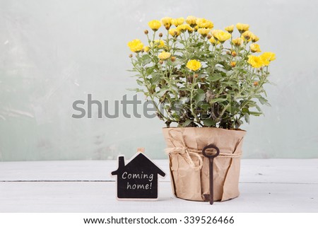 Home sweet home - beautiful  flowers in pot with blackboard