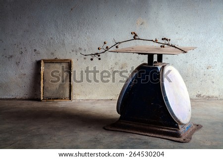 Still life with old blue scales weight and old photo frame on cement wall background