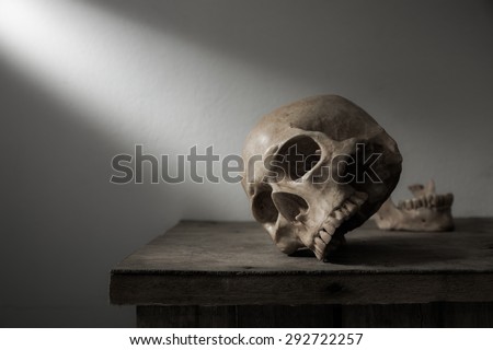 Still life with human skull on wood table