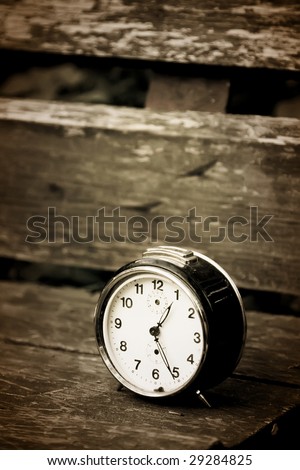 Old-fashioned clock on grunge branch