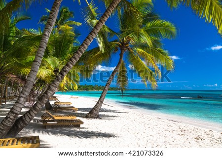 Tropical beach in caribbean sea, Saona island, Dominican Republic.
