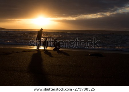 family silhouette - father , mother , child at beach / sunset