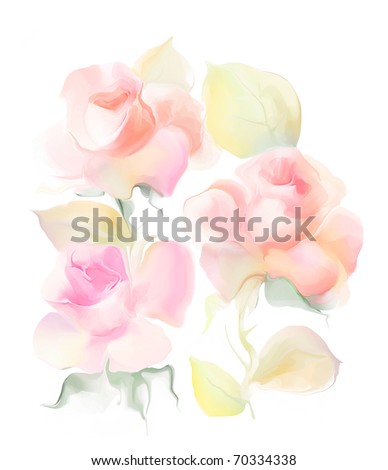 beautiful white rose flowers. stock photo : Beautiful rose