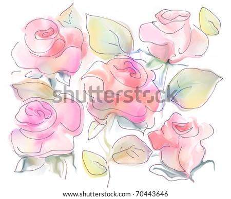 beautiful white rose flowers. stock photo : Beautiful rose