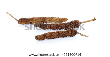 Long pepper isolated on the white background.