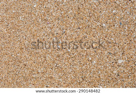 Sand background. This photo focus on the sandy ground intend to be used as pattern background or texture item.