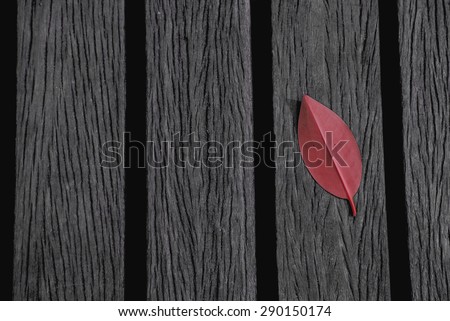 Red leaf on the wooden path way. This photo focused on a single fallen leaf against wooden path way, Thailand. June 2015