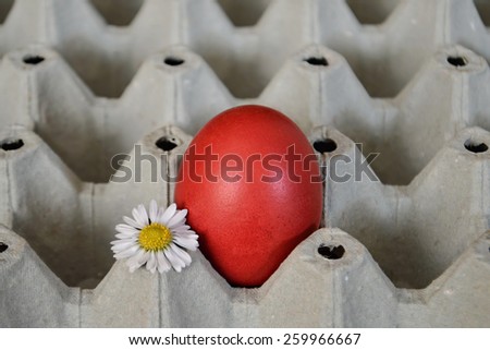 Red Easter egg and daisy in egg box