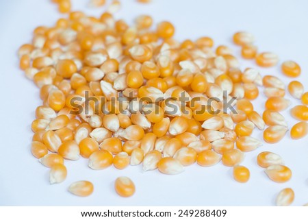 nice corn seeds
