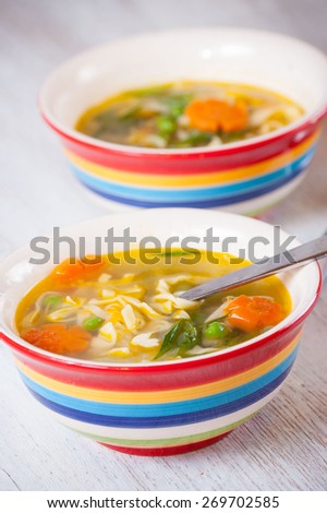 chicken soup with noodles and vegetables, spring chicken soup, chicken soup with vegetables for children, delicious chicken soup with noodles and vegetables.