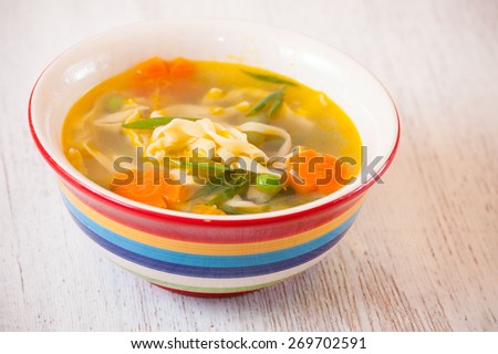 chicken soup with noodles and vegetables, spring chicken soup, chicken soup with vegetables for children, delicious chicken soup with noodles and vegetables.