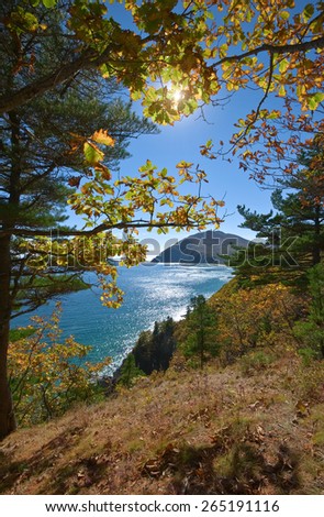 Wild coastline autumn day. Far East of Russia, East (Japan) Sea