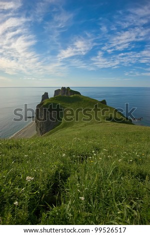 Marine afternoon landscape with high cliffs overgrown with thick grass. Japan Sea.