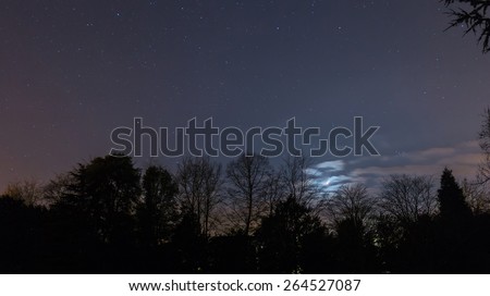 Starry Night in Woods with the Crescent Moon