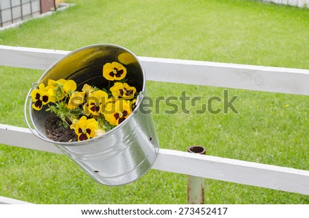 Yellow viola flower in tin can on white fence