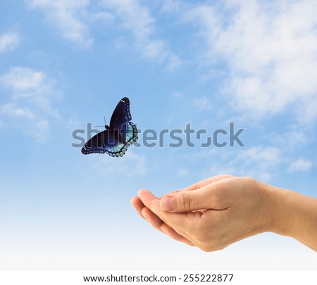 Hands releasing a blue butterfly