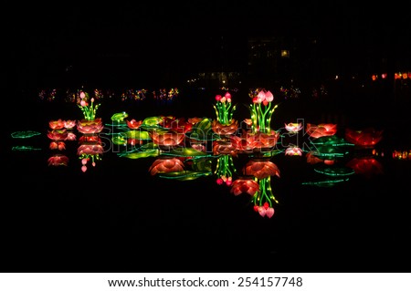Water lilies at China lights Utrecht